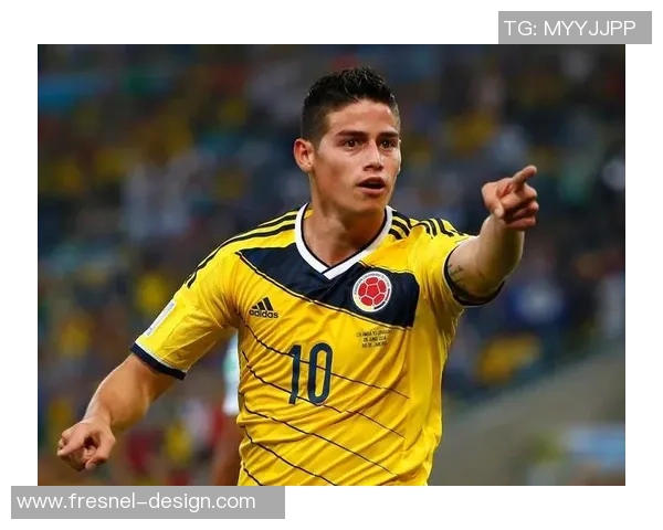 世界足球十大从政球星盘点他们的赛场外成就与政治影响力