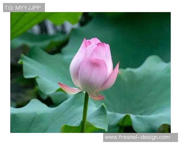 光影下的绿茵巨星展现独特气质与力量瞬间